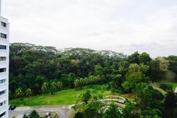 Blk 116 Clementi Street 13 (Clementi), HDB Executive #152869512